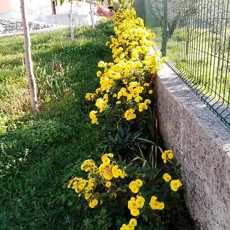 Soba S Pogledom Δωμάτια σε οικογενειακή κατοικία Τρέμπινιε