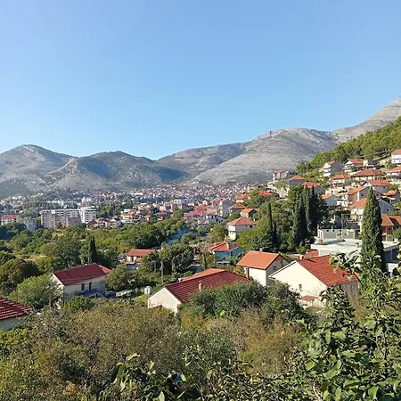 Проживание в семье Soba S Pogledom